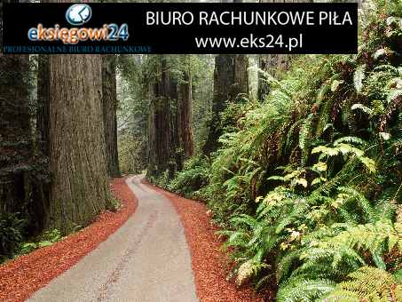 Biura rachunkowe w Pile