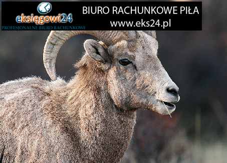 Biura rachunkowe Pila