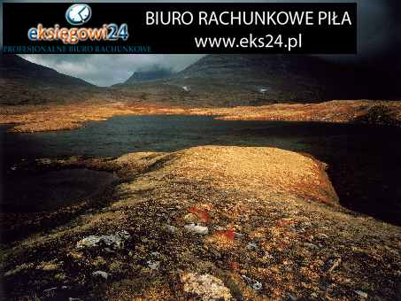 winylowe tapety na ścianę