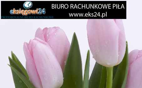 Biuro rachunkowe Pila