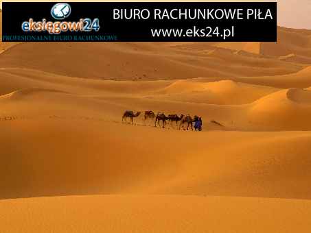 winylowa tapeta na ścianę