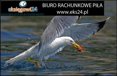 Biuro rachunkowe Pila