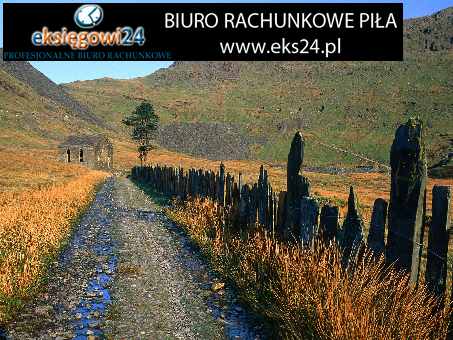 tapety na ścianę 3d