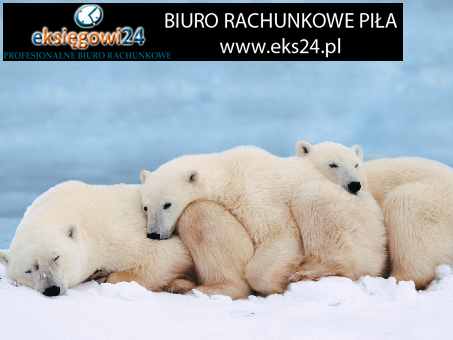księgowy Eks24 Piła