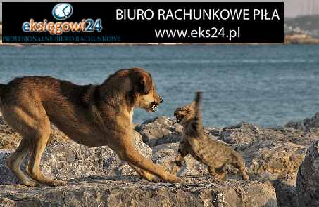 Biuro rachunkowe w Pile