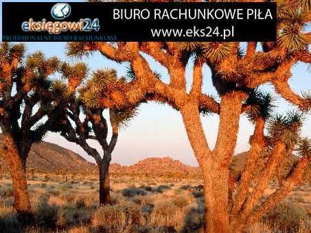 Pila biura rachunkowe