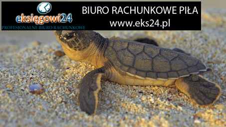 biuro rachunkowe Piła