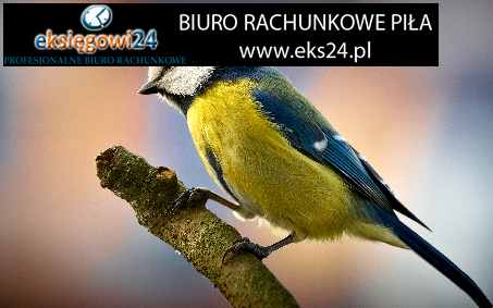 tanie biuro księgowe Piła