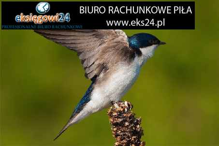 Biuro rachunkowe w Pile