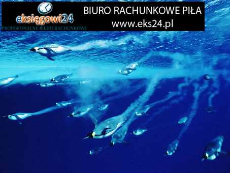 biura rachunkowe Piła