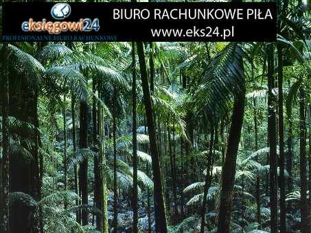 modne tapety na ścianę