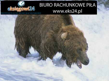 tapety ścienne sklep