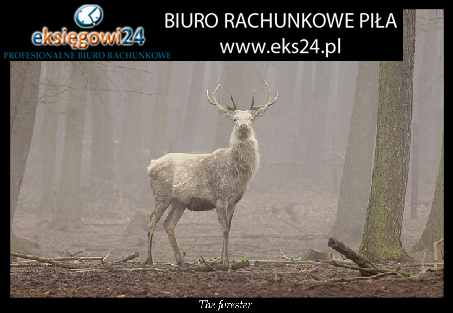 biuro rachunkowe Szczecinek