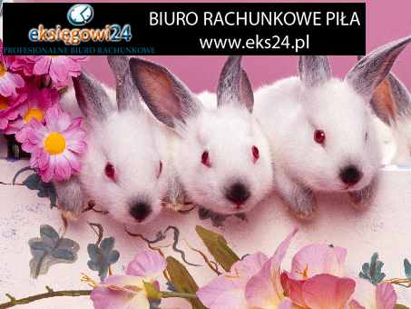 Piła biura rachunkowe