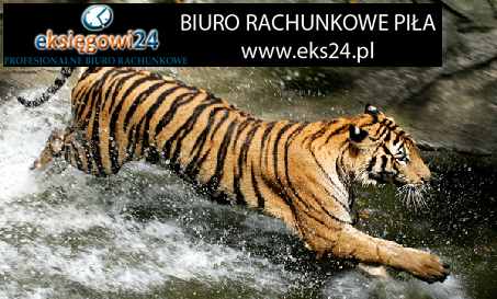 Pila biura rachunkowe