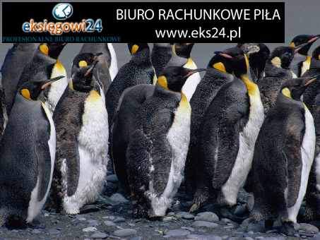 Pila biura rachunkowe