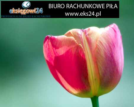 Biuro rachunkowe Pila