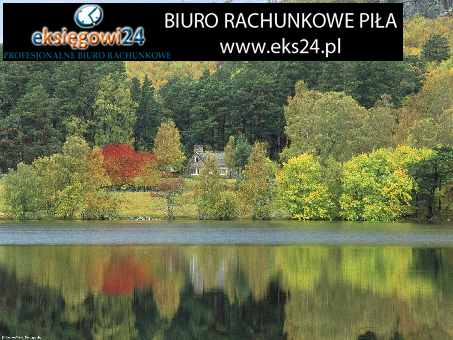 Księgowa Piła Najwyższej klasy usługi rachunkowe Piła antymotywacyjna