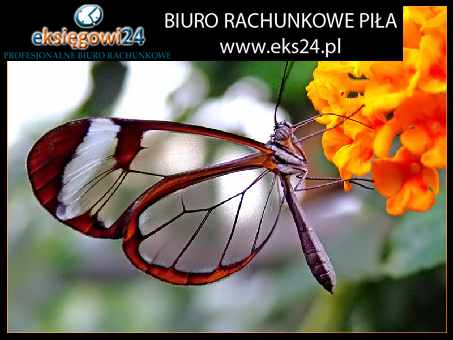 dobra księgowa Piła