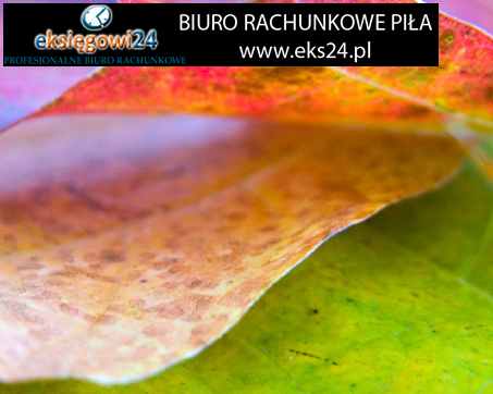 Biura rachunkowe w Pile