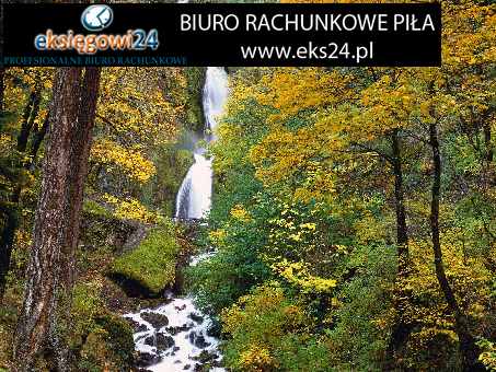 Biura rachunkowe w Pile