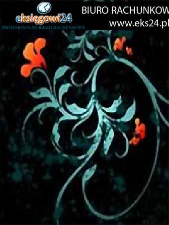 Pila uslugi ksiegowe