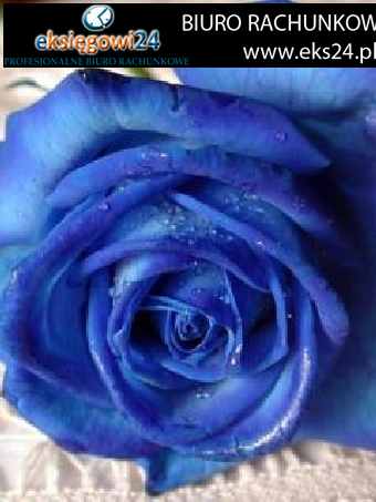 dobre biura rachunkowe Piła