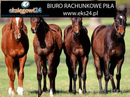 biuro rachunkowe Złotów 