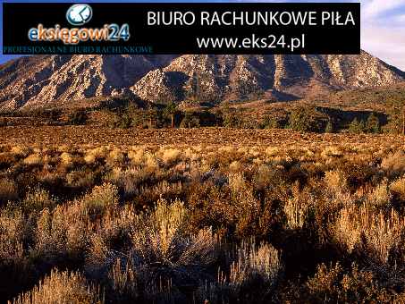 usługi księgowe Piła