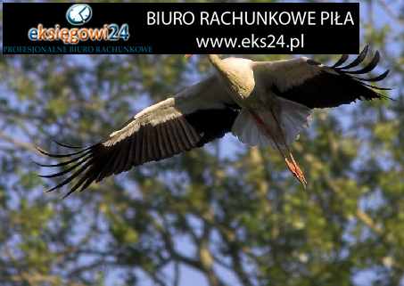 tanie biura rachunkowe Piła
