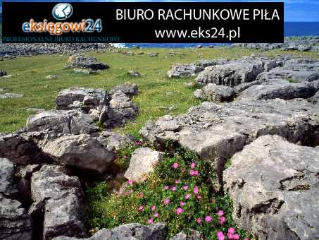 Piła biuro rachunkowe