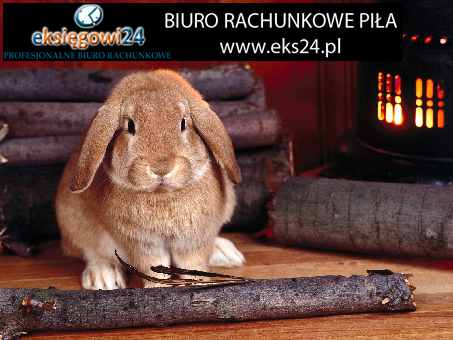 biura podatkowe Piła