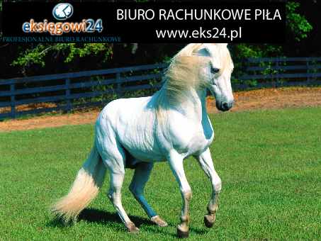 Biura rachunkowe w Pile