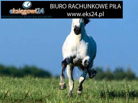 biuro rachunkowe Piła