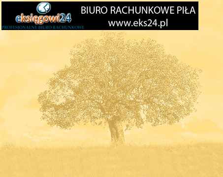 biuro księgowe Złotów