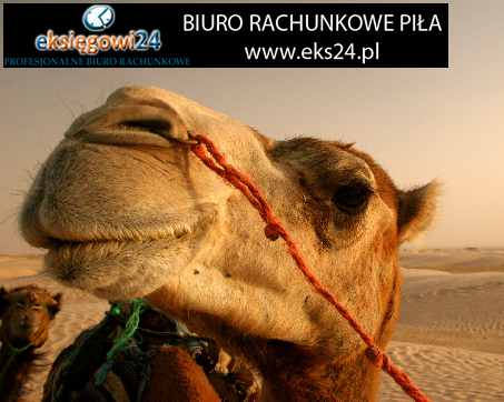 tapety ścienne sklep internetowy