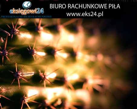 Biura rachunkowe w Pile
