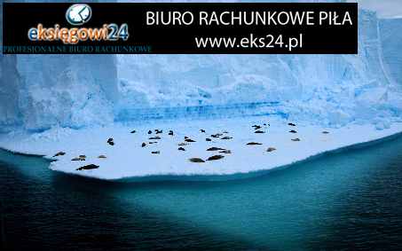 winylowe tapety ścienne