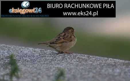 biura rachunkowe Piła