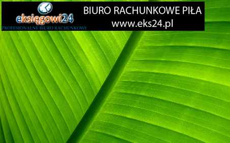 tapeta ścienna winylowa