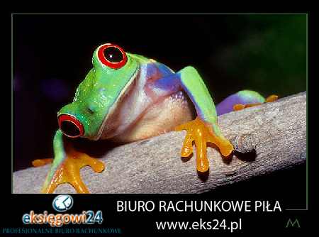 dobre biuro podatkowe w Pile