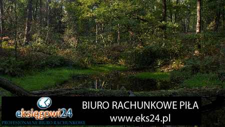 Biura rachunkowe w Pile