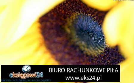 usługi rachunkowe Wągrowiec 