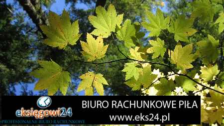 Piła biura rachunkowe