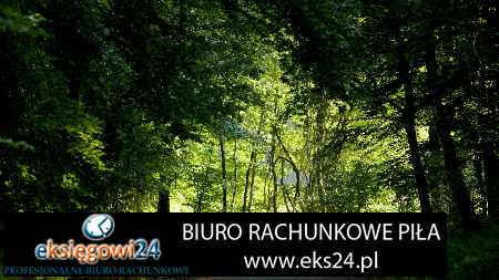księgowe biuro rachunkowe Piła