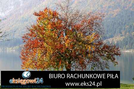 księgowość Trzcianka