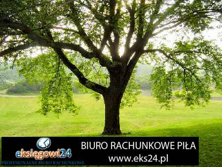 Chodzież biuro rachunkowe