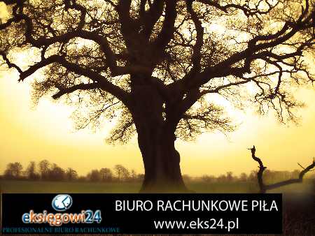 biura rachunkowe Kaczory