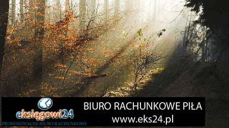 dobre biuro księgowe Piła