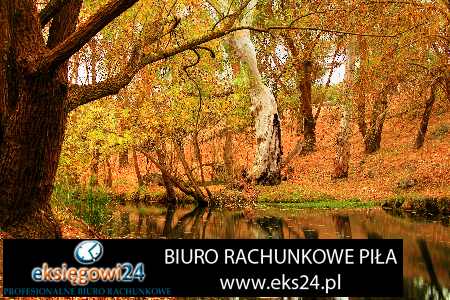 biuro rachunkowe Czarnków